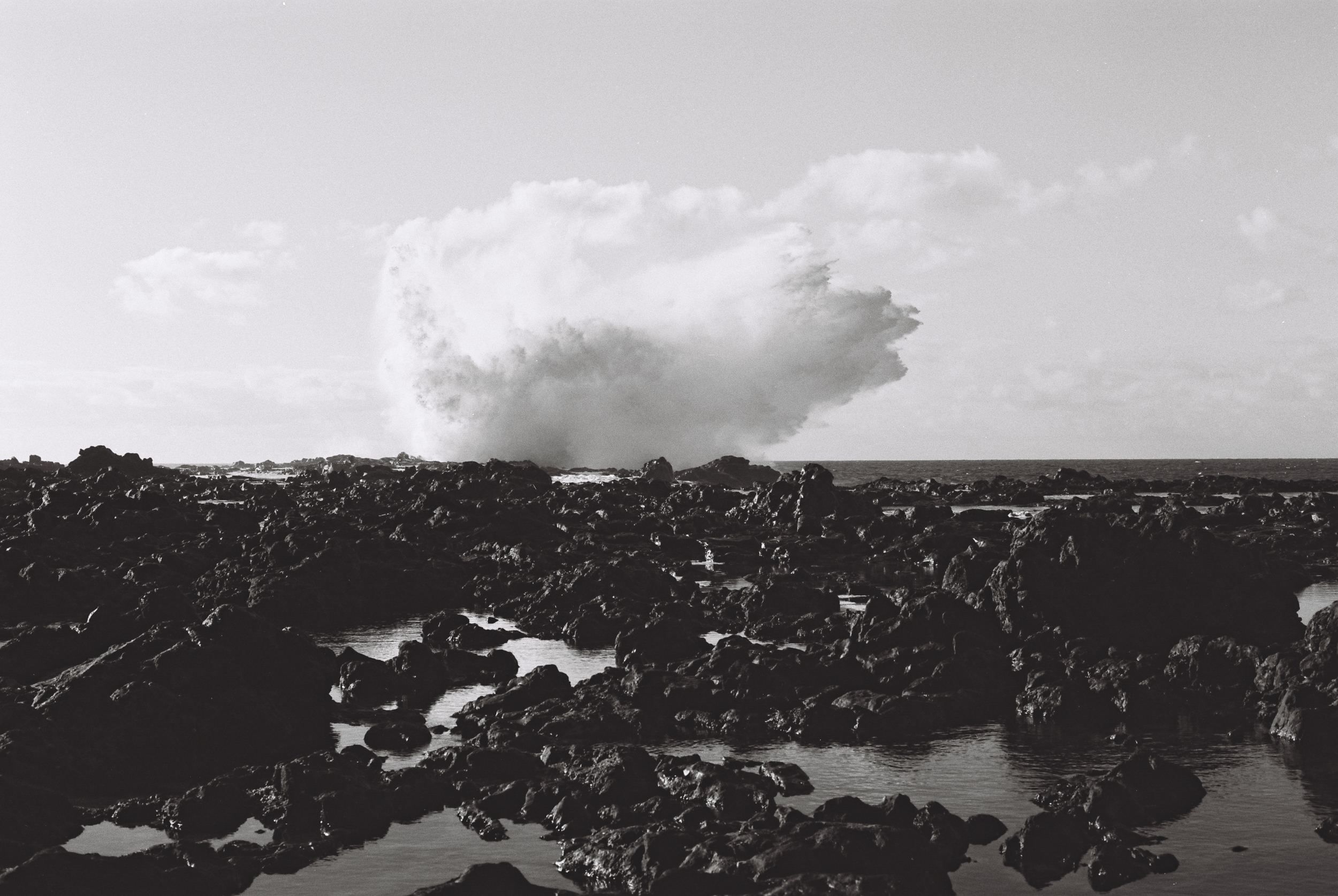 Bart Lenaerts