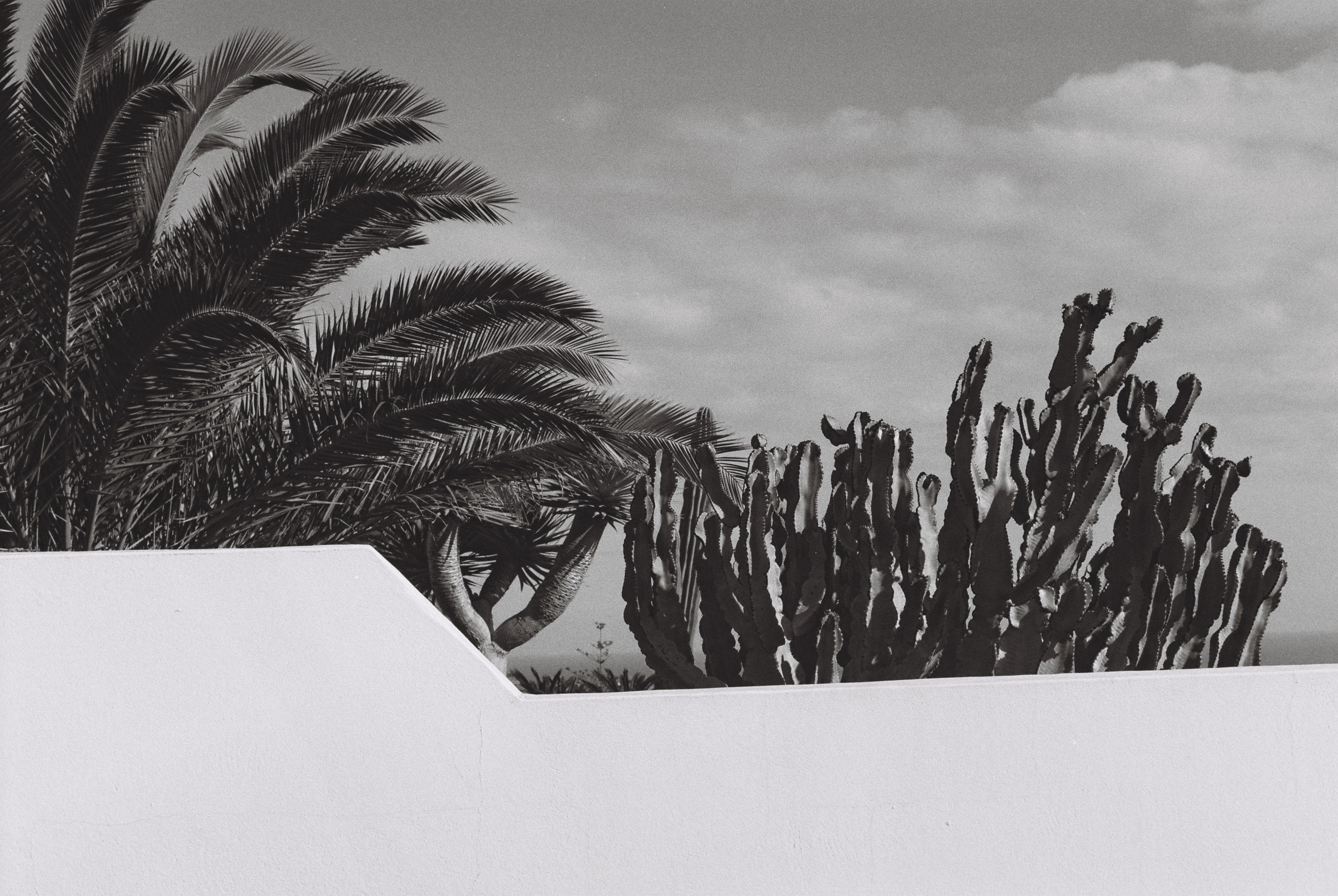 Bart Lenaerts