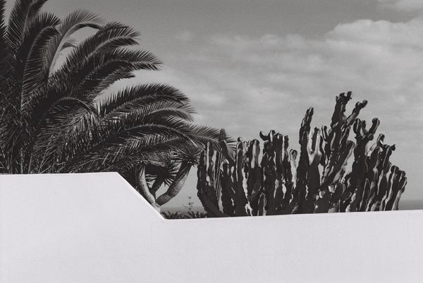 Bart Lenaerts